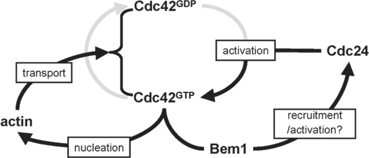 Figure 7.