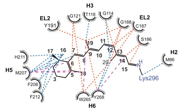 Fig. 3