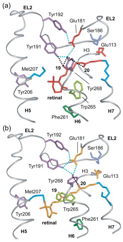 Fig. 6