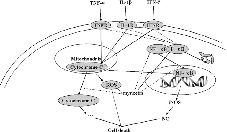 FIG. 7.