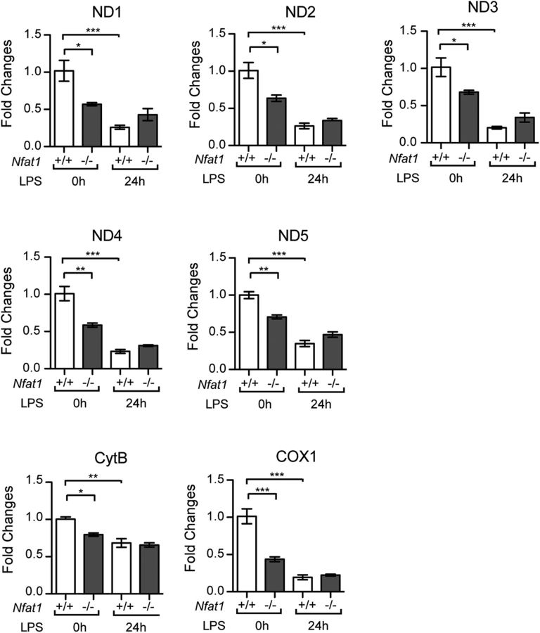 Figure 12.