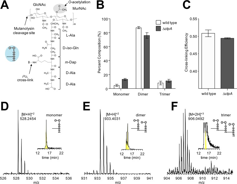 FIG 6 