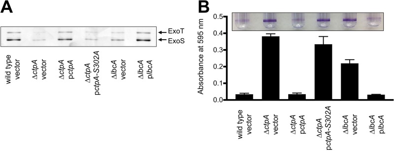 FIG 2 