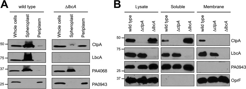 FIG 3 