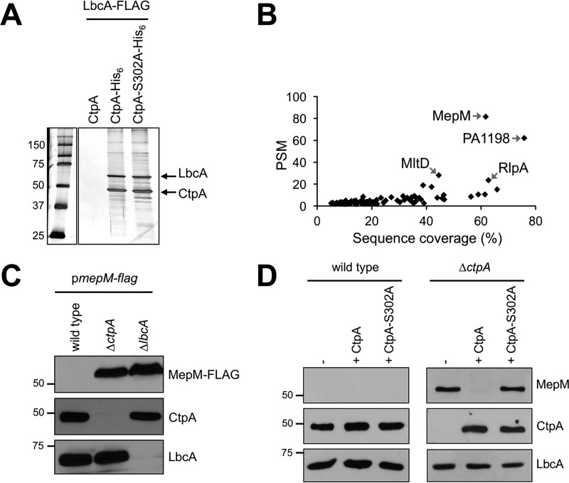 FIG 4 