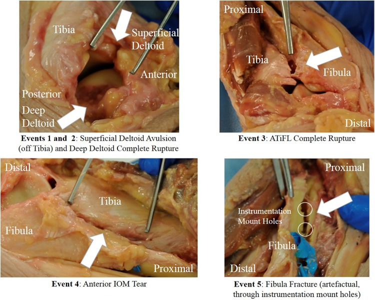 Figure 7.