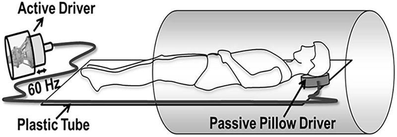 Figure 1: