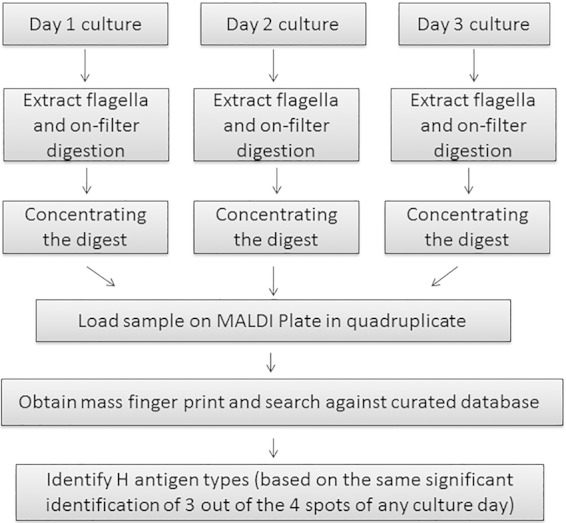 FIG 1