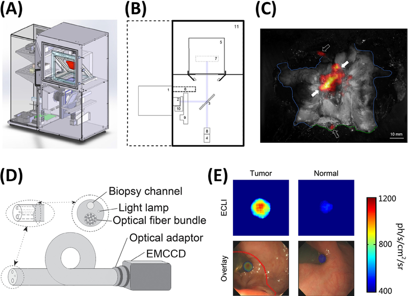 Figure4