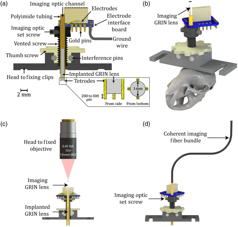 Fig. 1