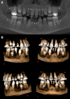 Fig. 1.