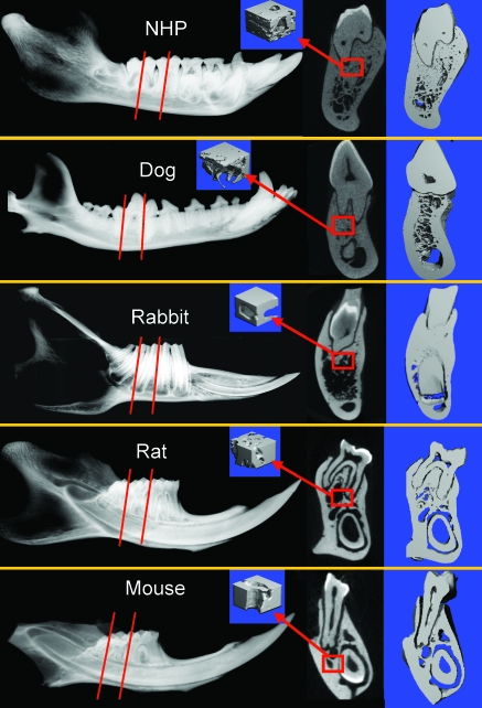 Figure 6.