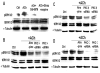 Fig 8