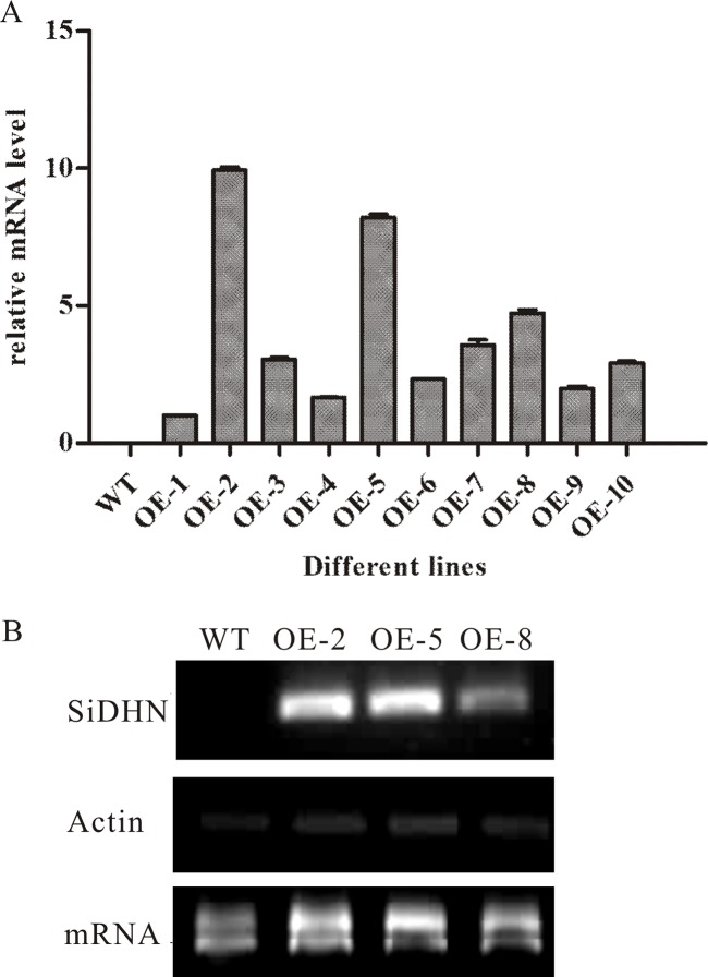 Fig 3