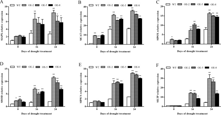 Fig 13