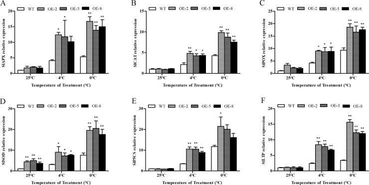 Fig 12