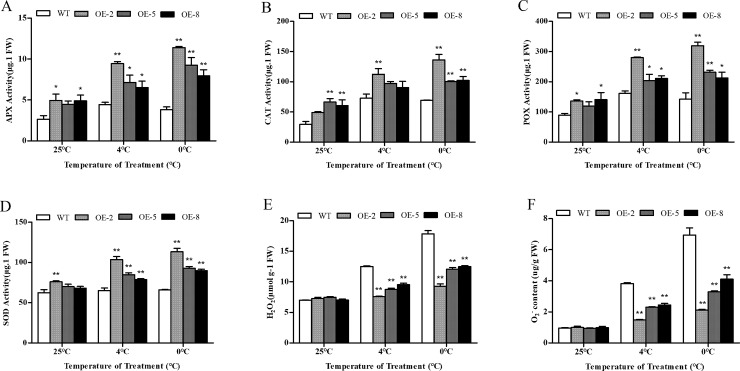 Fig 10