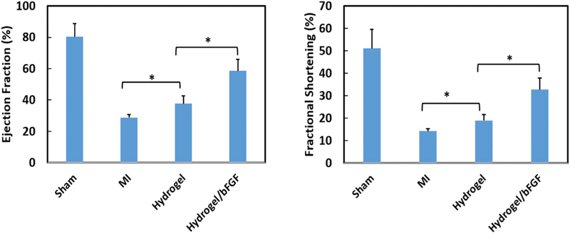 Fig. 12.