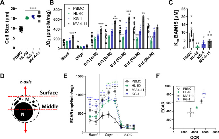 Figure 1—figure supplement 1.