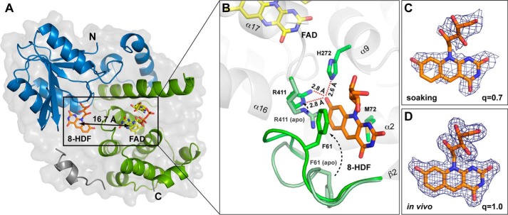 FIGURE 4.