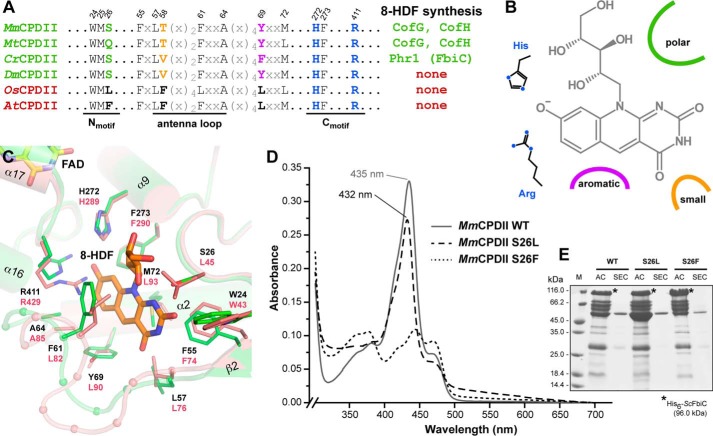 FIGURE 6.