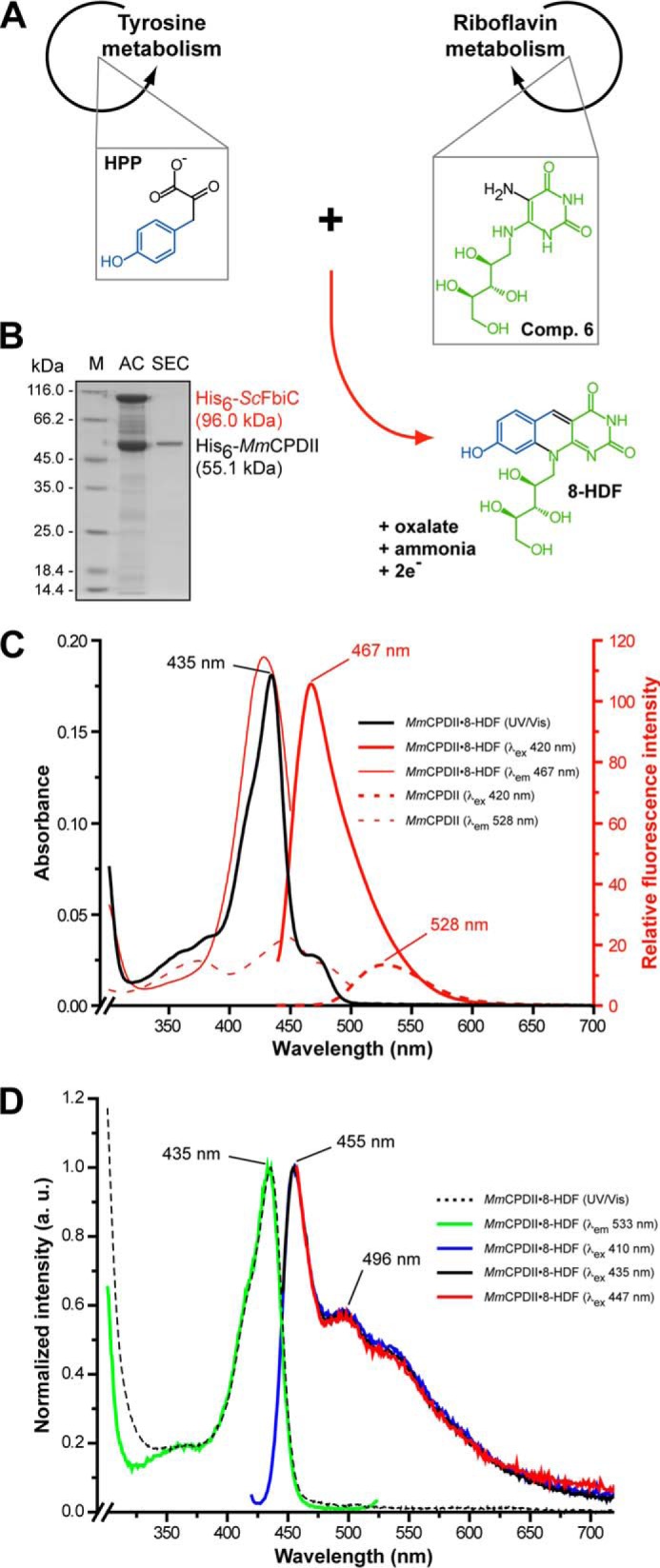 FIGURE 2.