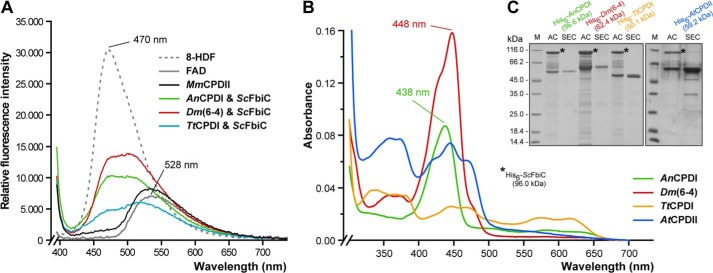 FIGURE 3.