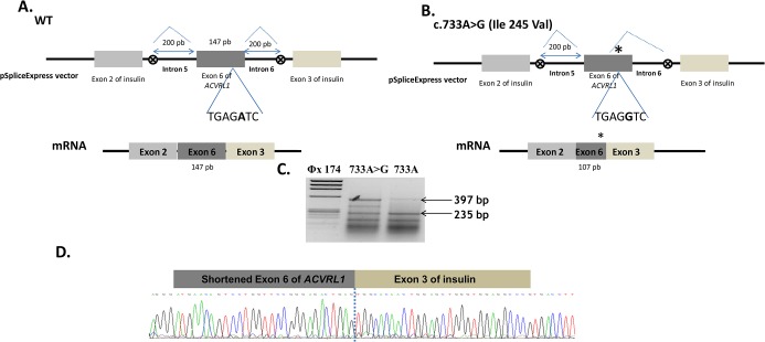 Fig 5