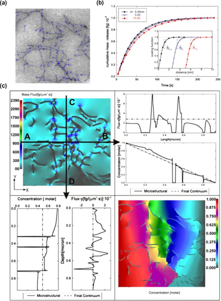 Fig. 12