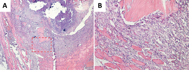 Figure 3.