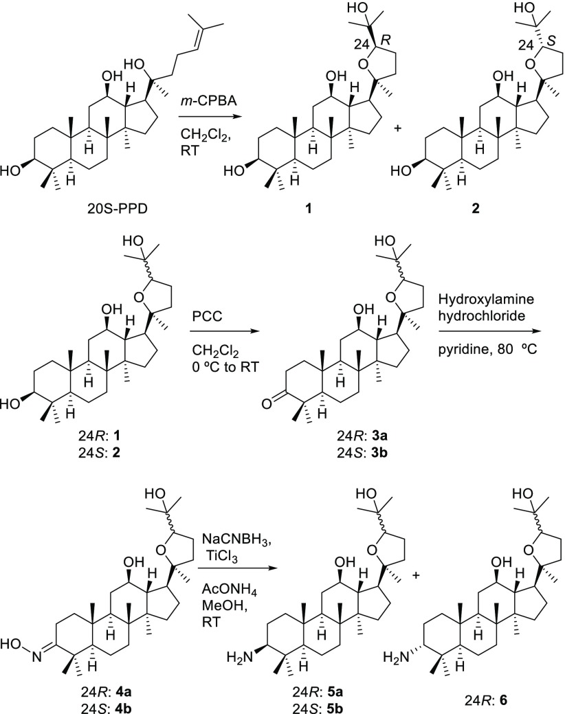 Scheme 1