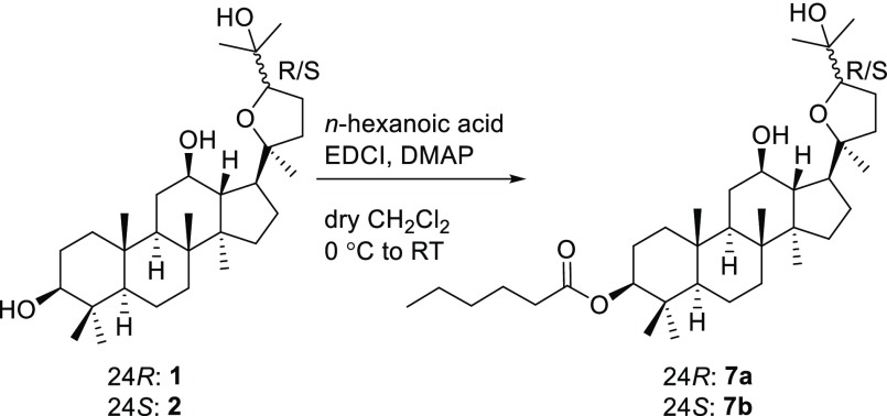 Scheme 2