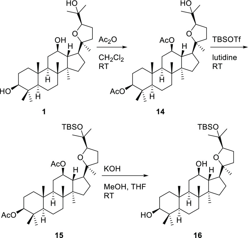 Scheme 5