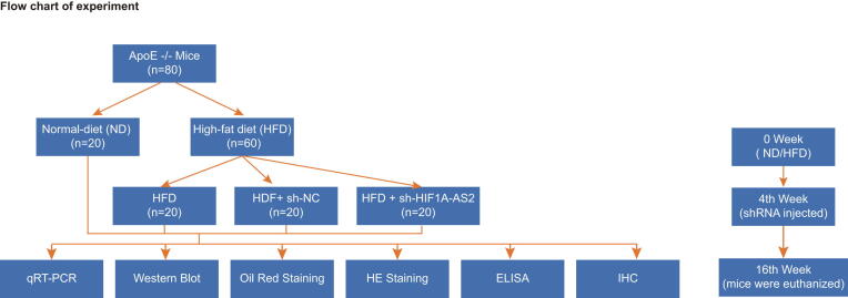 Supplementary Fig. 1