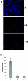 FIG. 6.