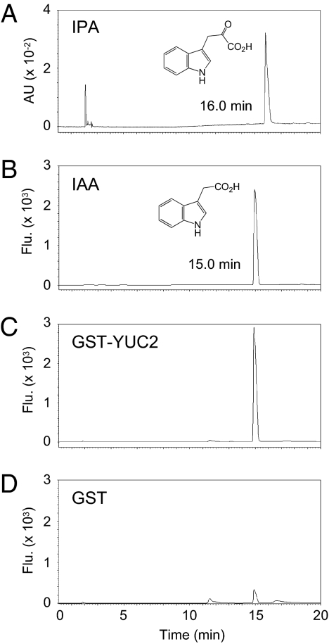 Fig. 5.