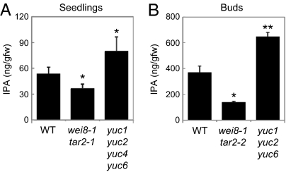 Fig. 4.