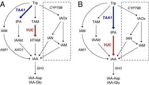 Fig. 1.