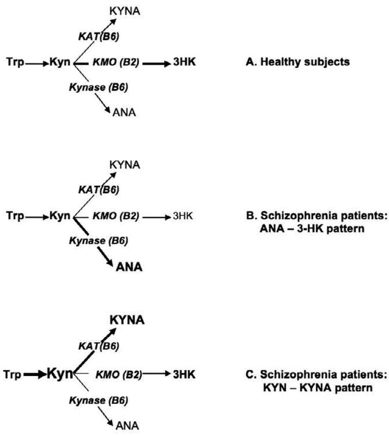 Peripheral kynurenine 3 monooxygenase deficiency as a potential risk