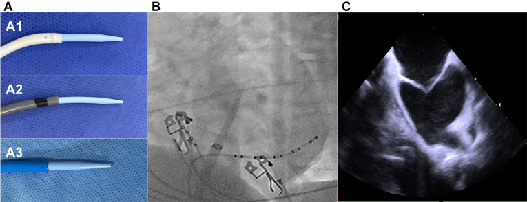 Figure 1