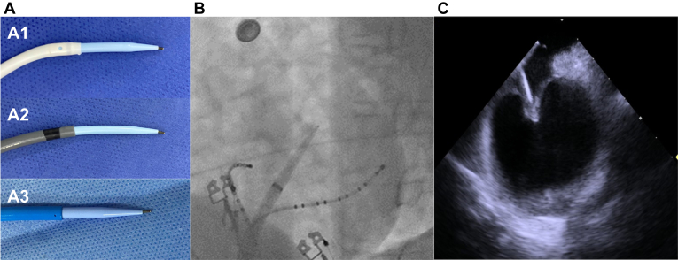 Figure 2