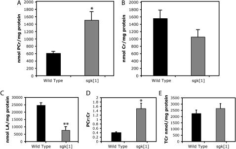 Figure 6.—