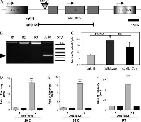 Figure 2.—