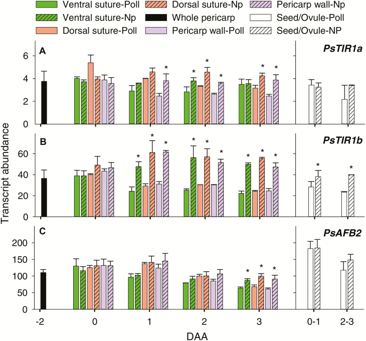 Fig. 4.