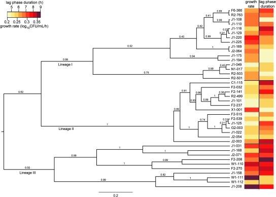 FIG. 4.