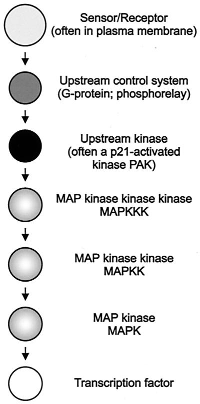 FIG. 2.