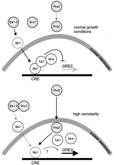 FIG. 6.