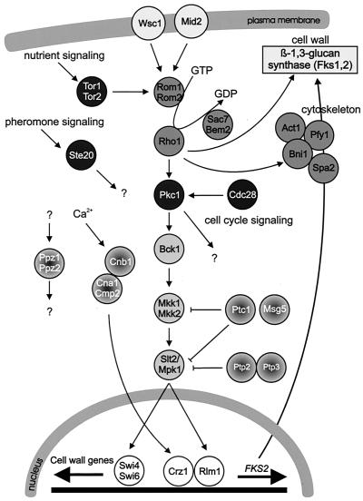 FIG. 8.