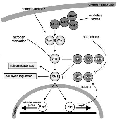 FIG. 10.