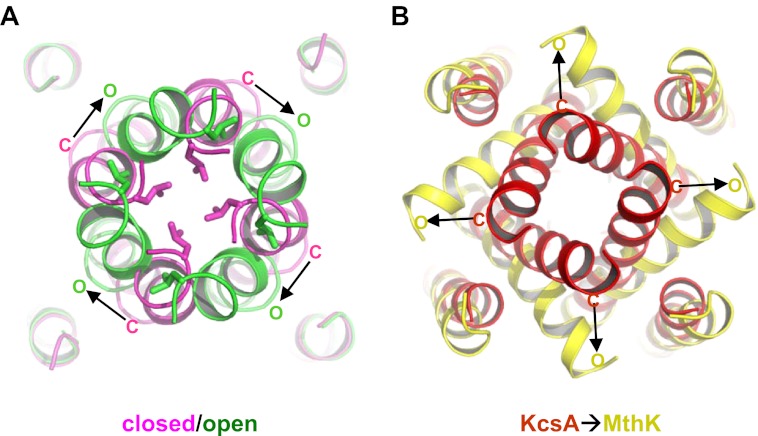 Figure 11.